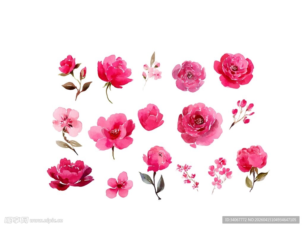 水彩花卉素材