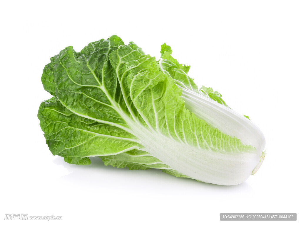 新鲜大白菜