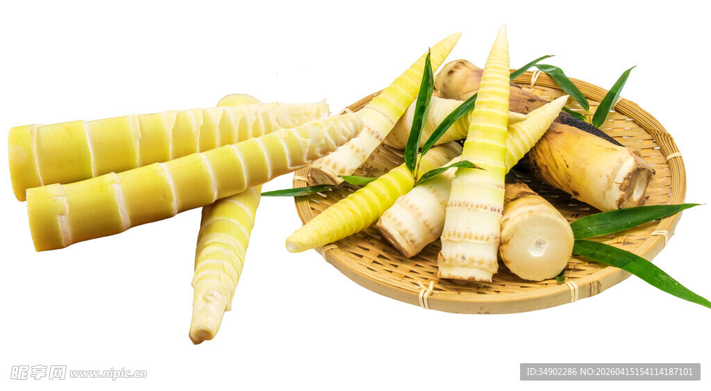 免扣春笋竹笋嫩笋