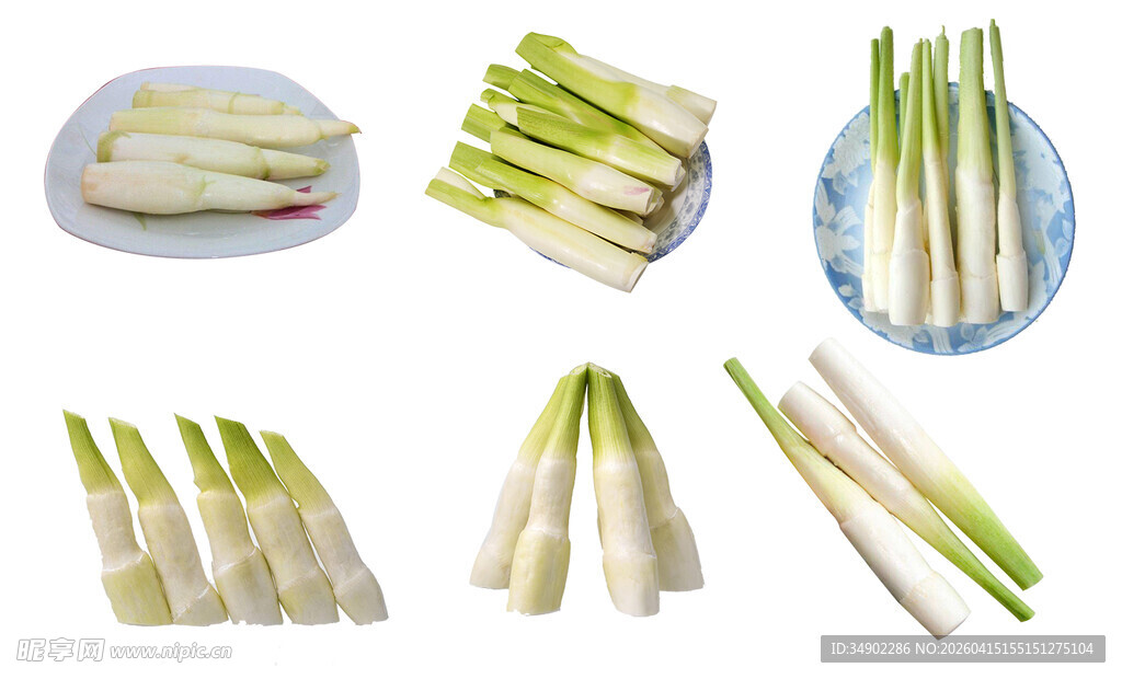 免扣春笋竹笋嫩笋