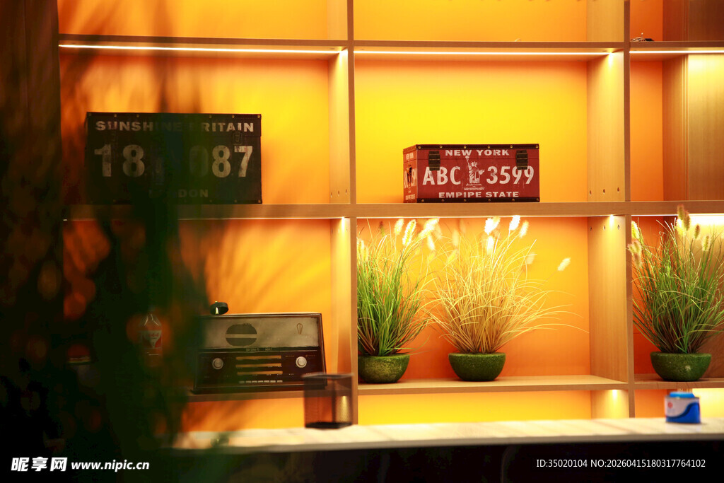 温馨室内绿植装饰展示