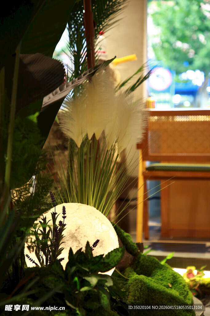 室内绿植与装饰灯具景观