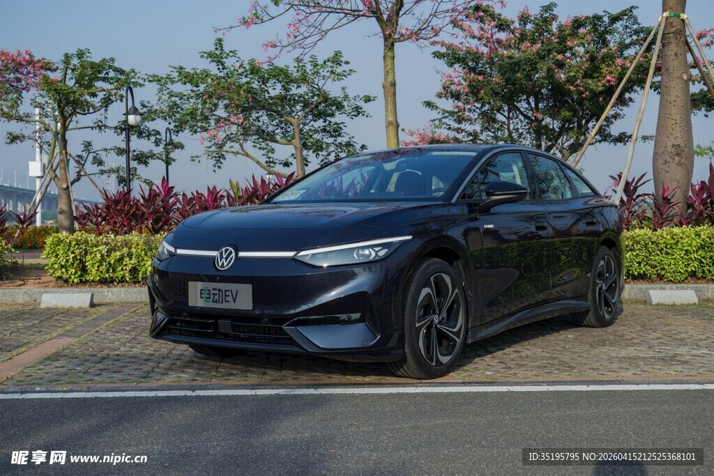 黑色轿车停于户外绿植旁