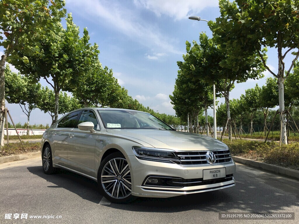 银色轿车停于林荫道路旁
