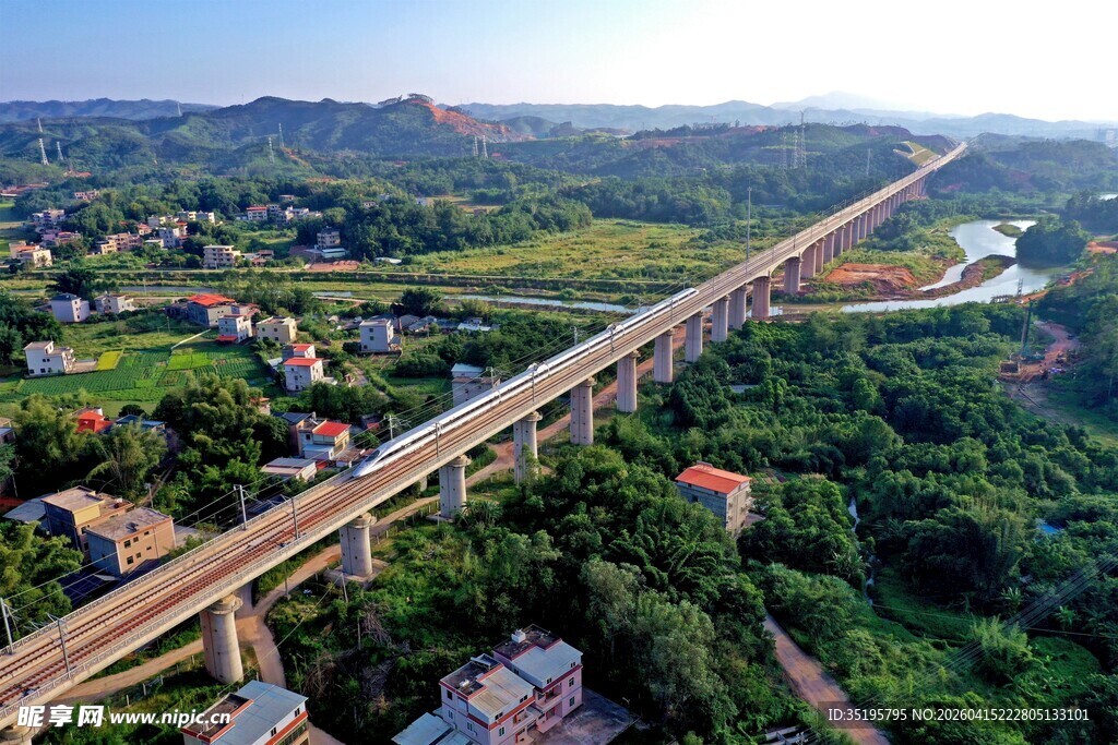 高架桥穿林而过的美丽景象