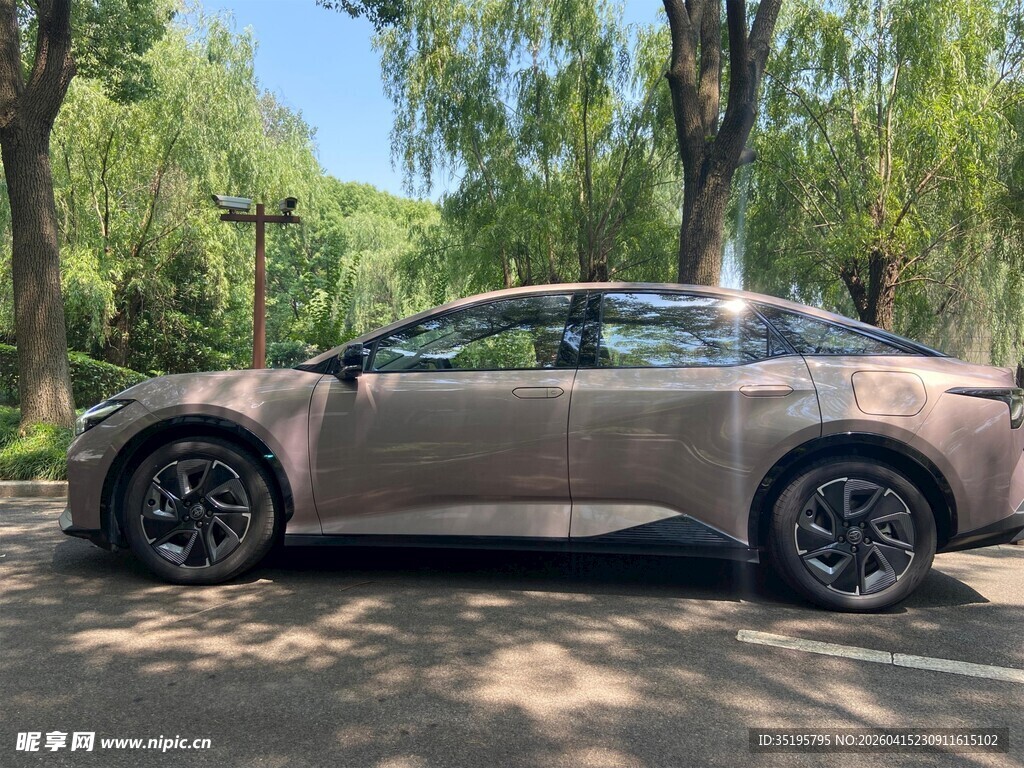 银灰色SUV停于林荫之下