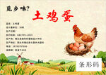 土鸡蛋包装图  纯正乡土味