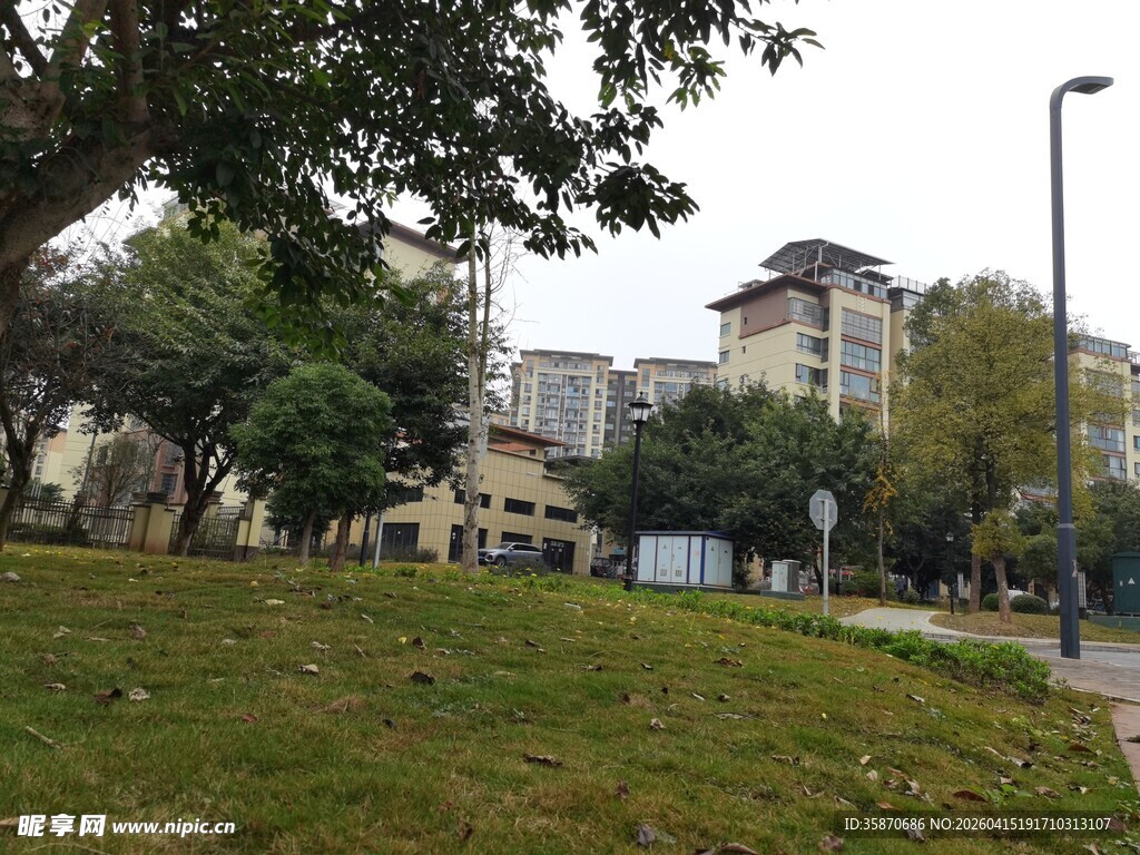 城市中的绿意公园一角