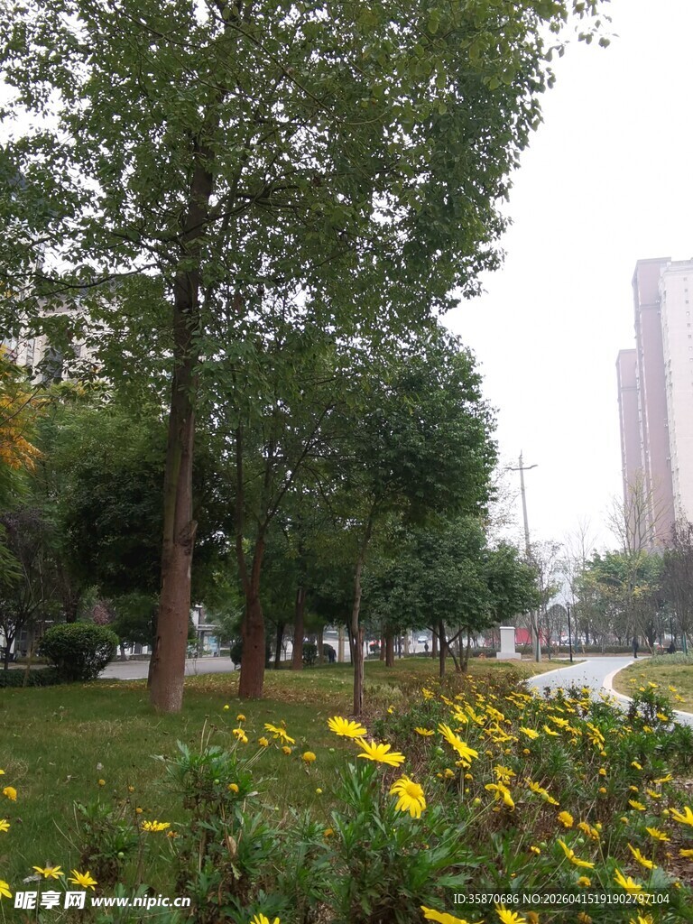 城市公园中的繁花绿树