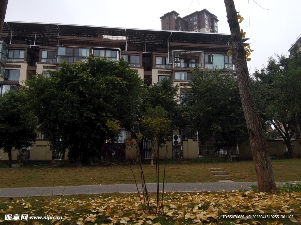 秋日校园建筑与落叶景观