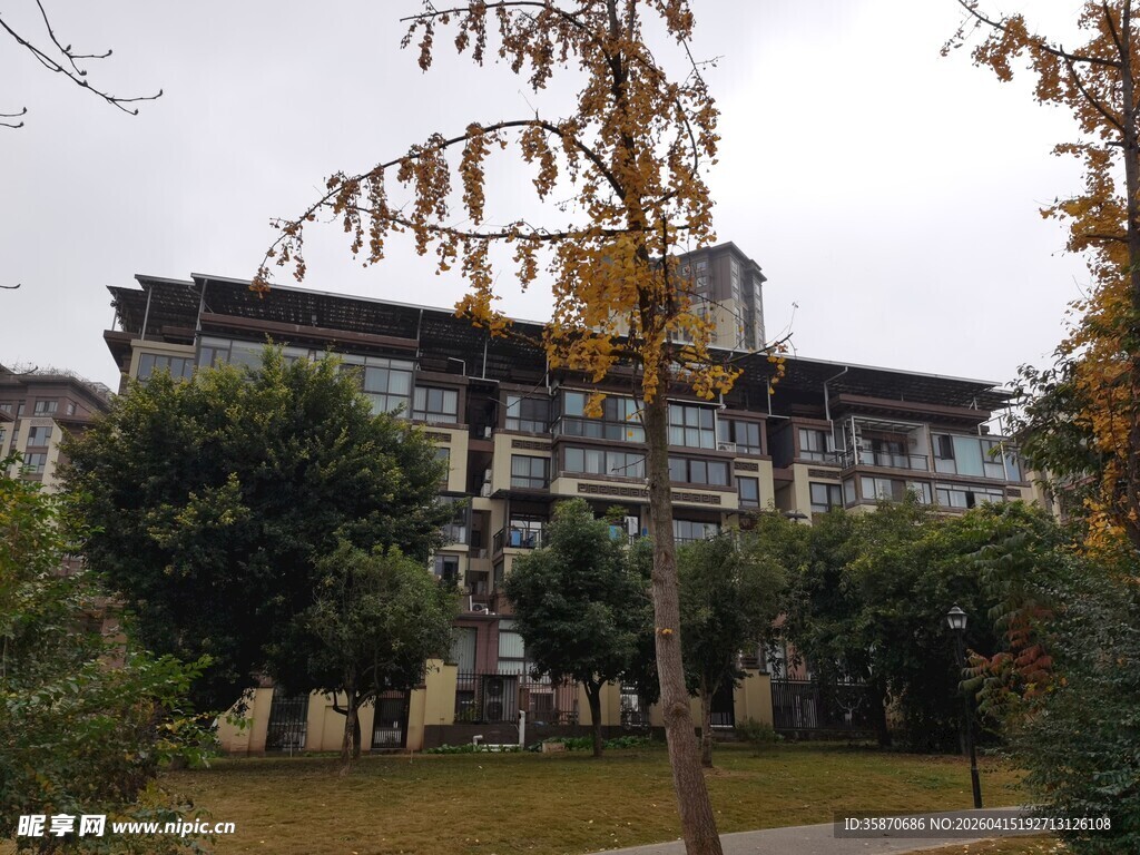 秋日校园建筑景观