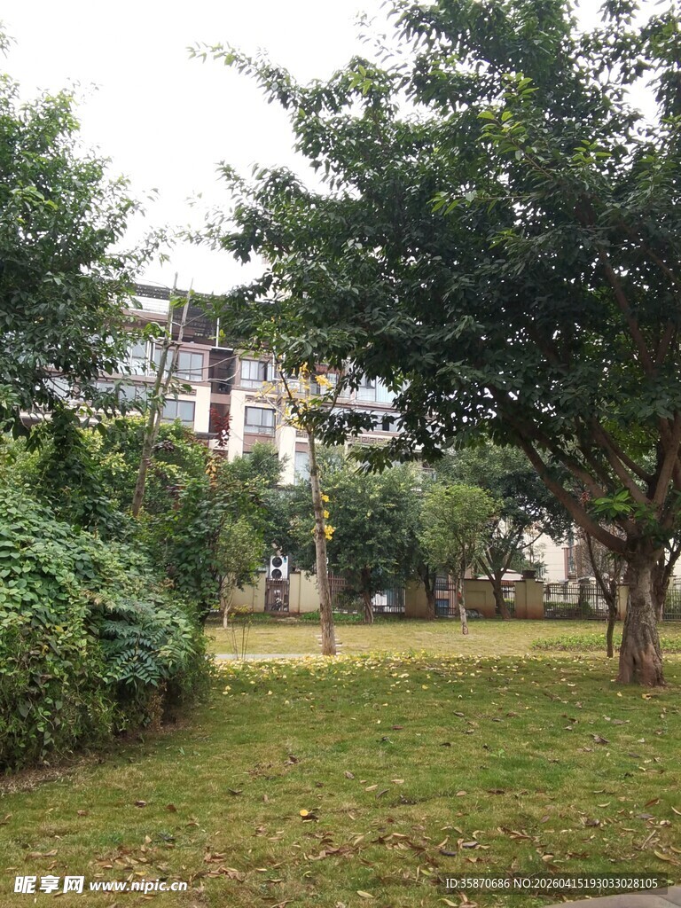 绿意盎然的户外休闲场景