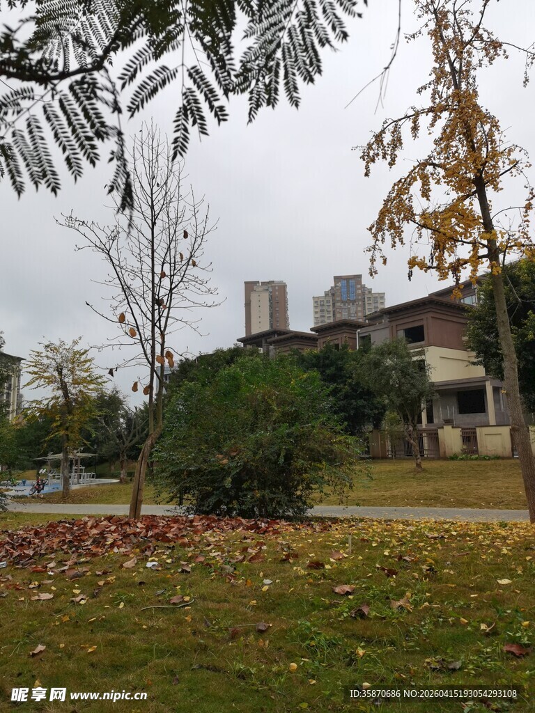 秋日校园景致