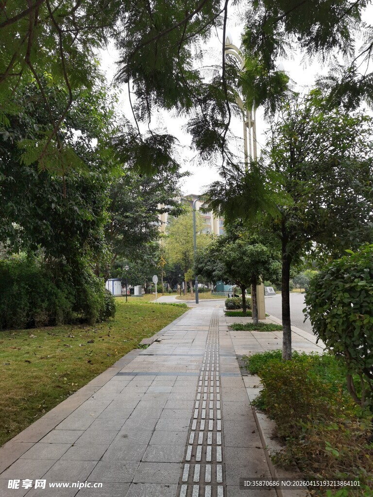林荫步道城市中的静谧一角
