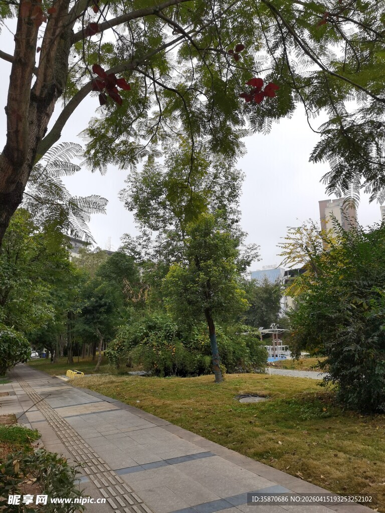 林间漫步小道绿意盎然