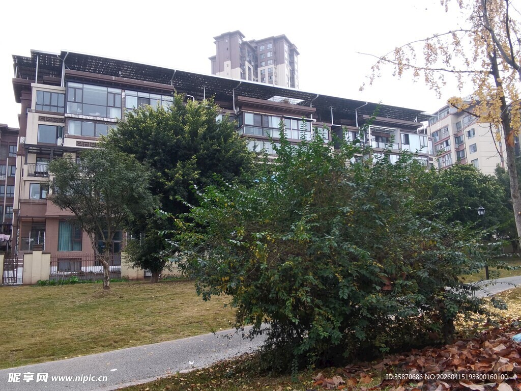 现代建筑旁的绿植景观