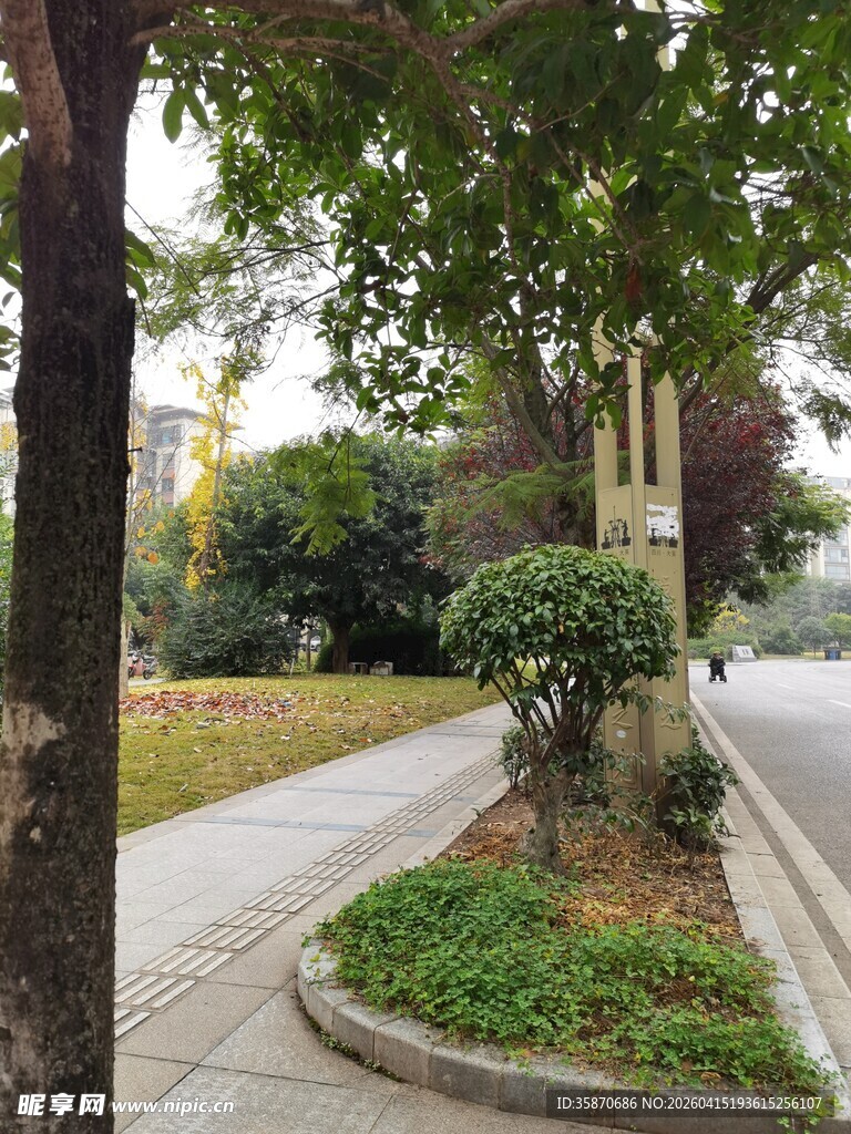 城市街边绿意盎然的景致