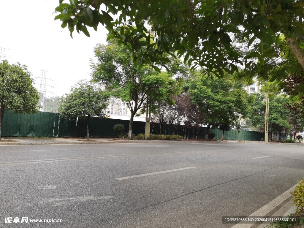 城市街道绿树环绕景象
