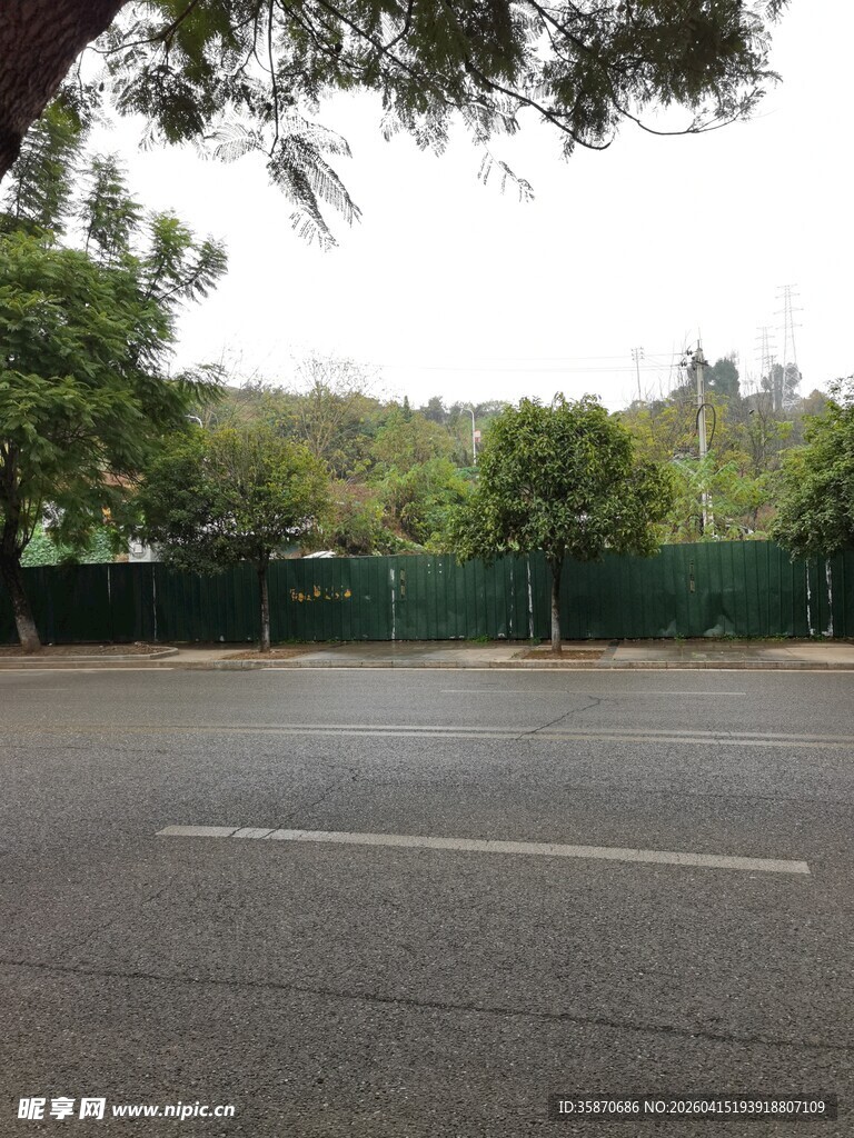 空旷道路旁的绿树与围栏