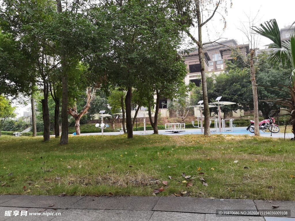 城市中的静谧绿树草坪
