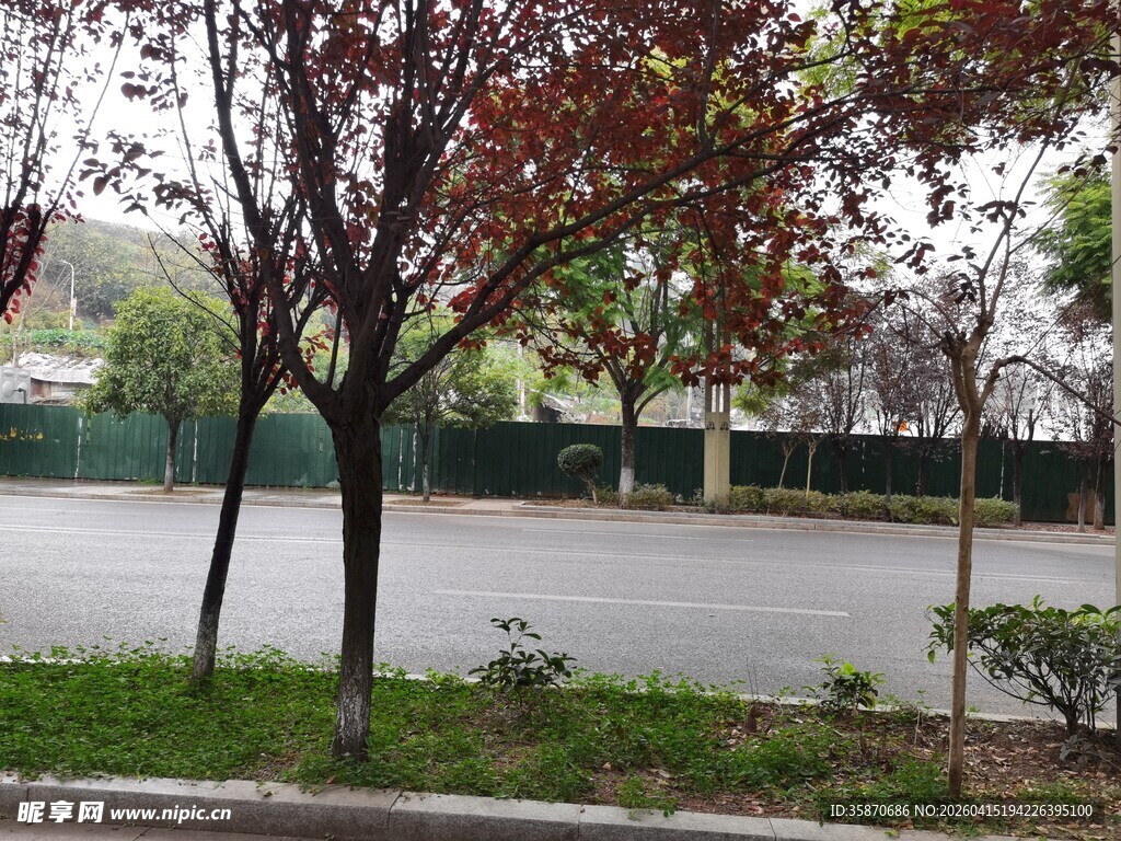 户外空旷场地与树木景观