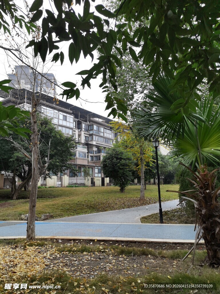 小区内的静谧绿化景观