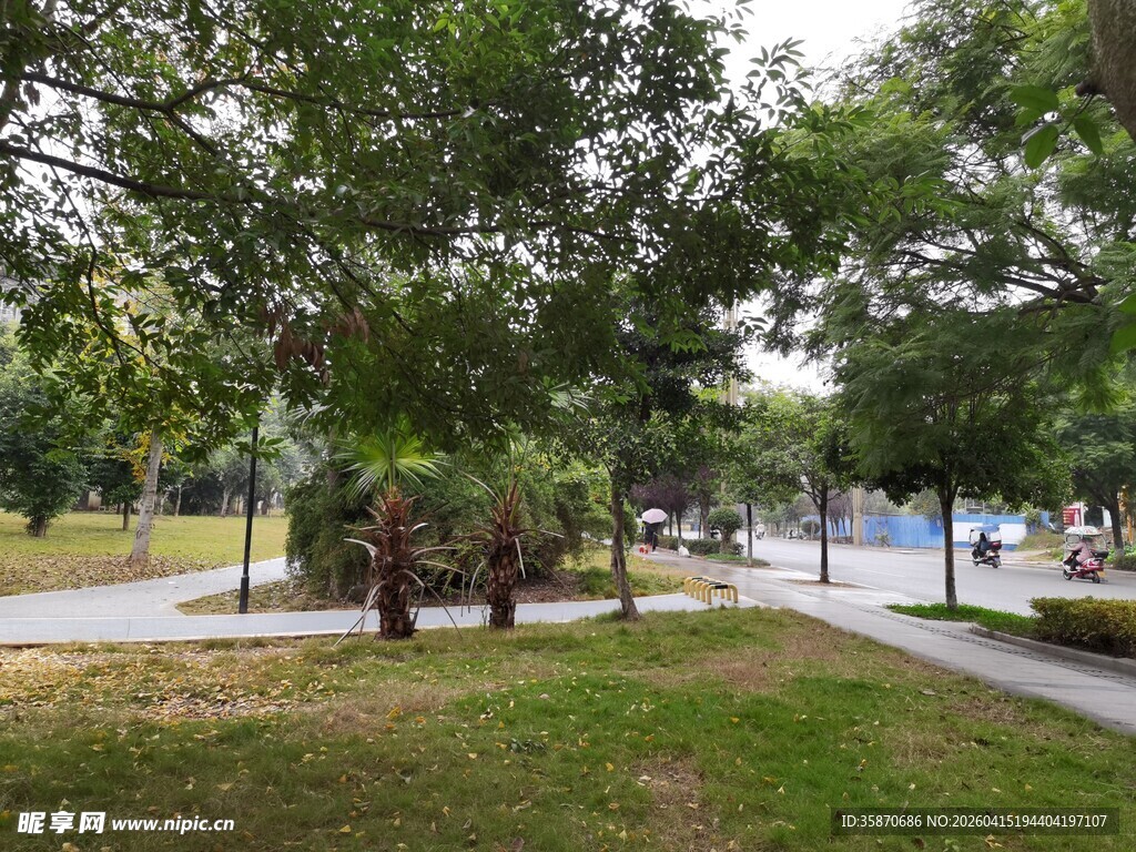 城市公园绿意盎然的景致