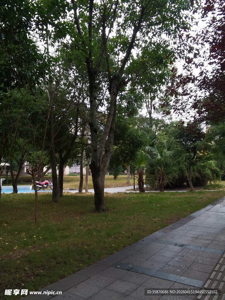 雨后公园的幽静小路