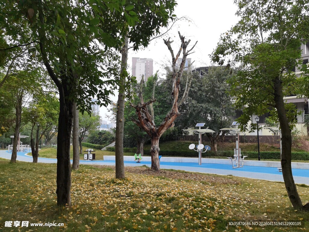 公园内树木与蓝池景致