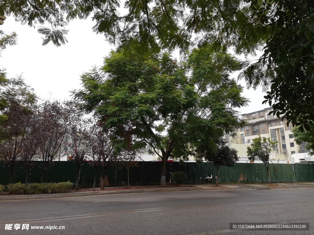 停车场旁绿树环绕景象
