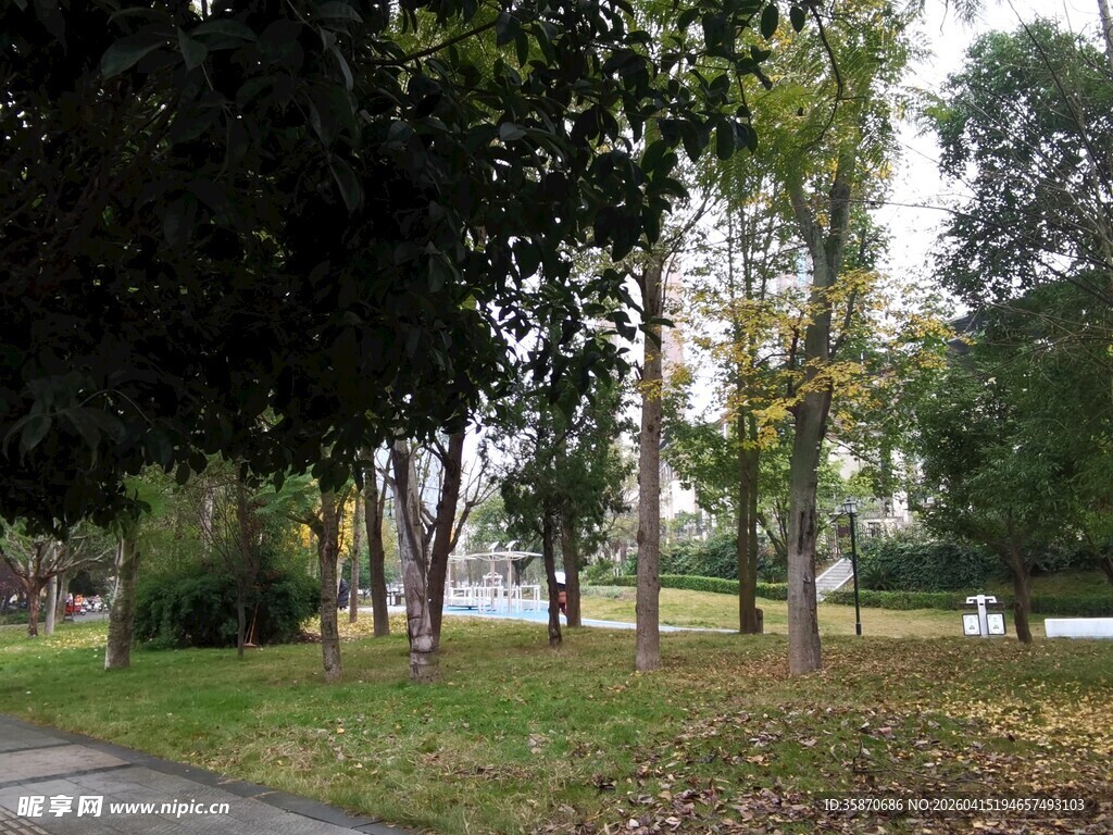 秋日静谧林间小道