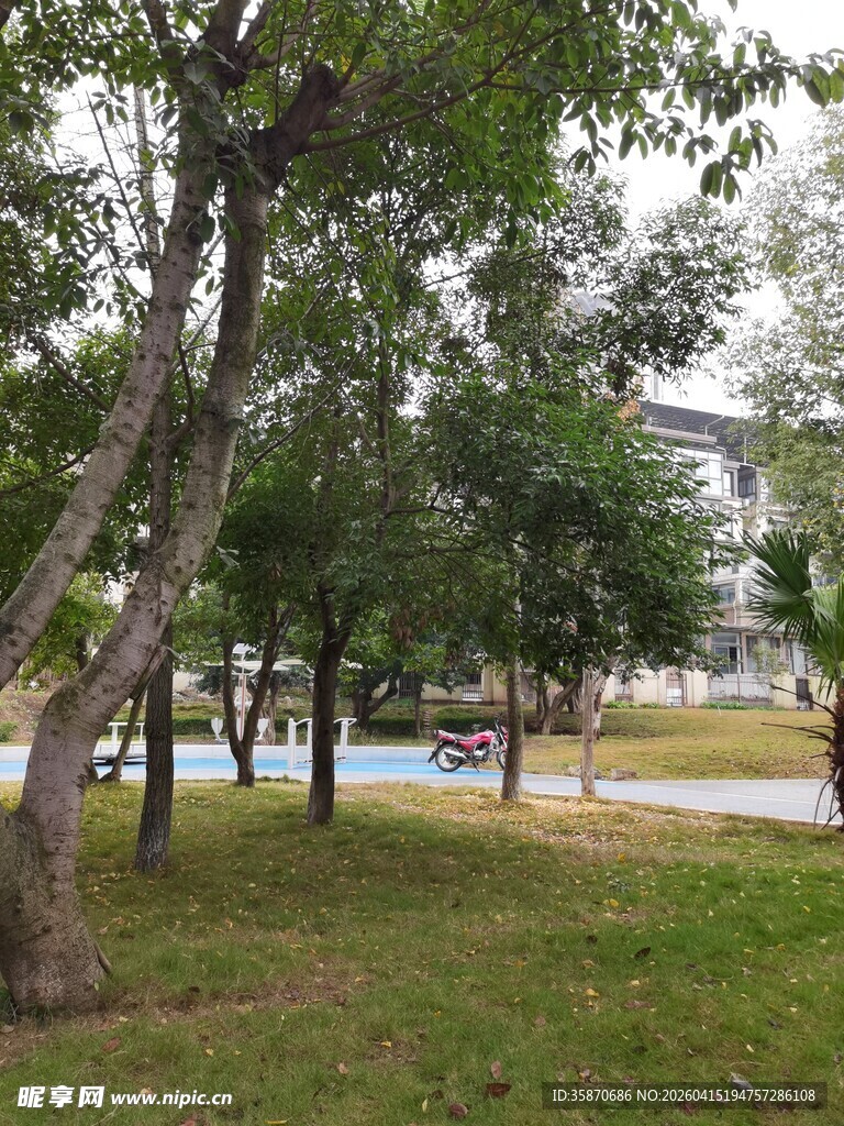 公园绿树草地休闲场景
