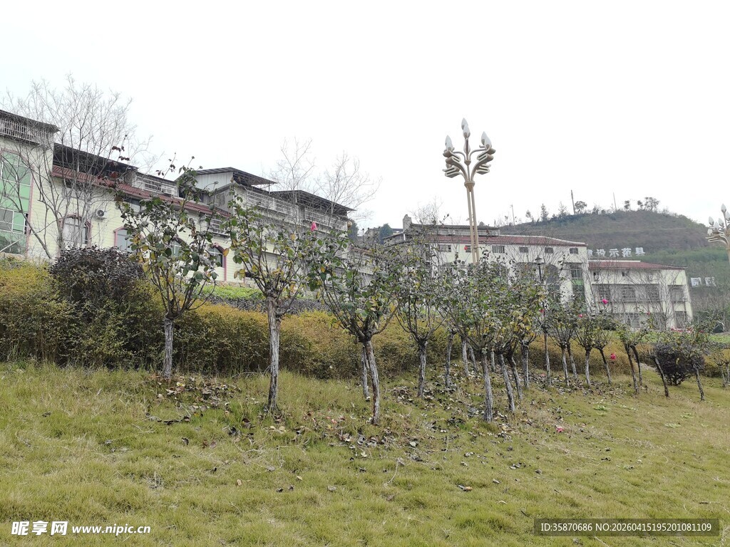 乡村田园风光景致
