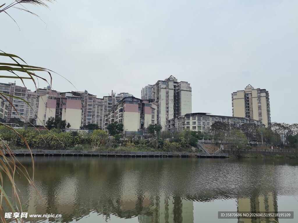 湖畔高楼林立的城市景致