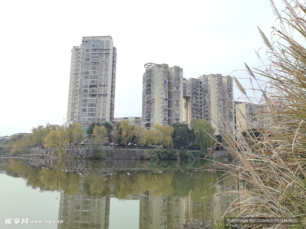 湖畔高楼风景