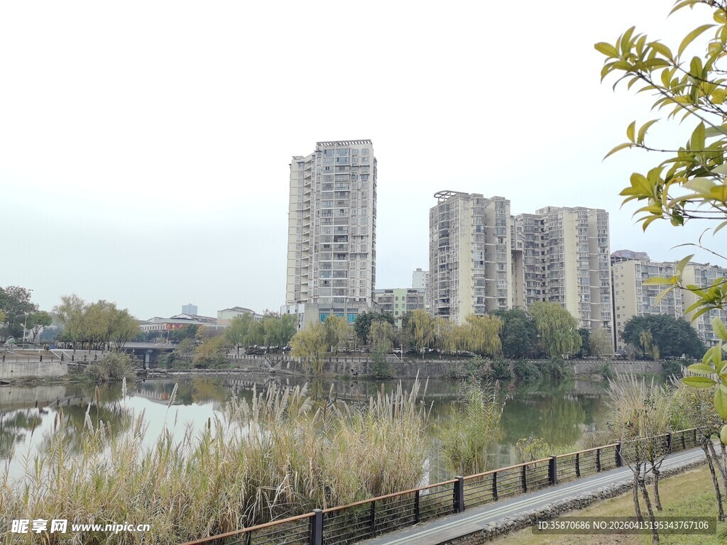 河畔高楼与绿植风景