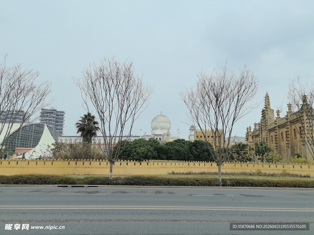 城市街道旁的建筑与树木