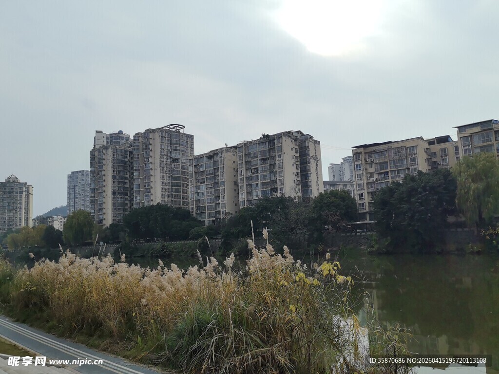 湖畔高楼与芦苇景观