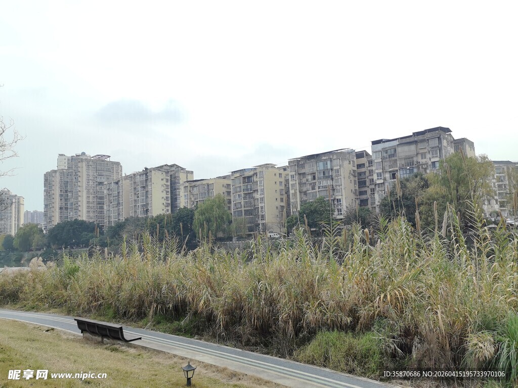 城市旁的草地与长椅景观