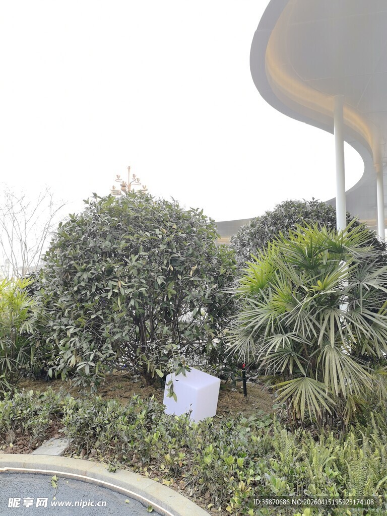 户外绿植景观一角