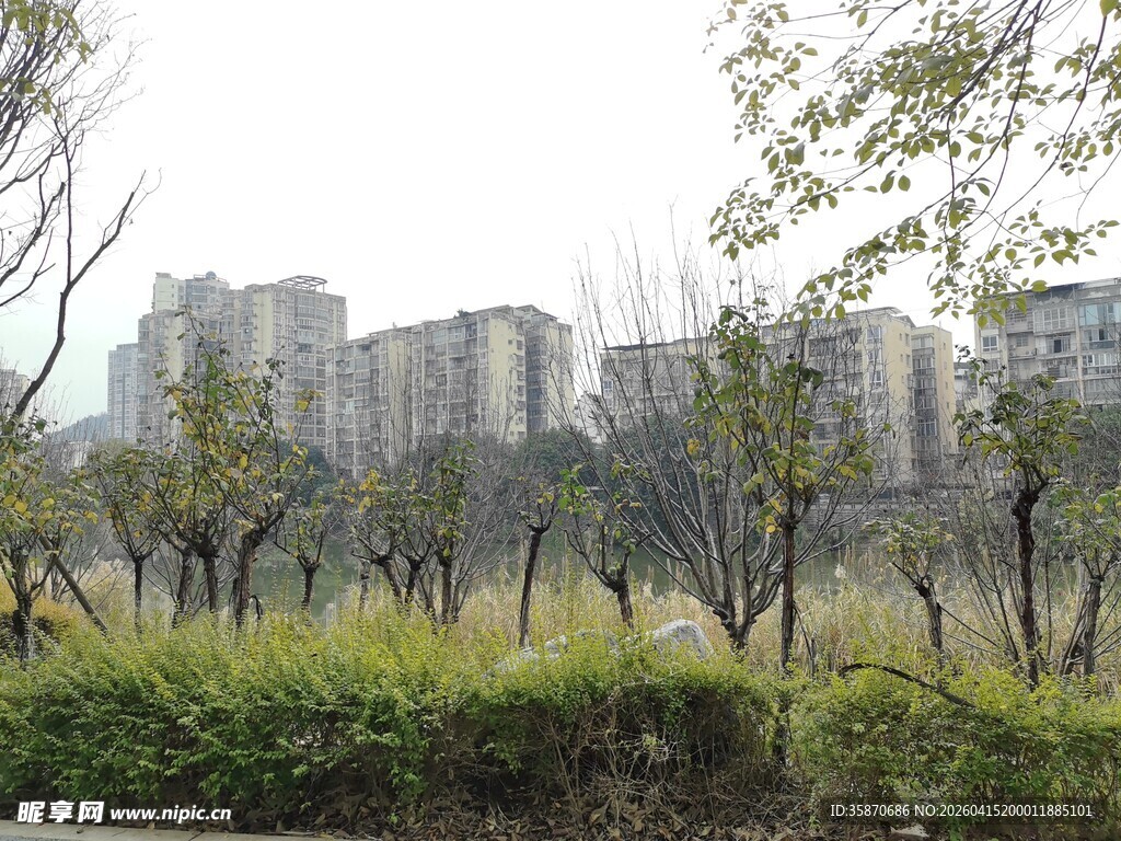 城郊绿植与远处高楼景观