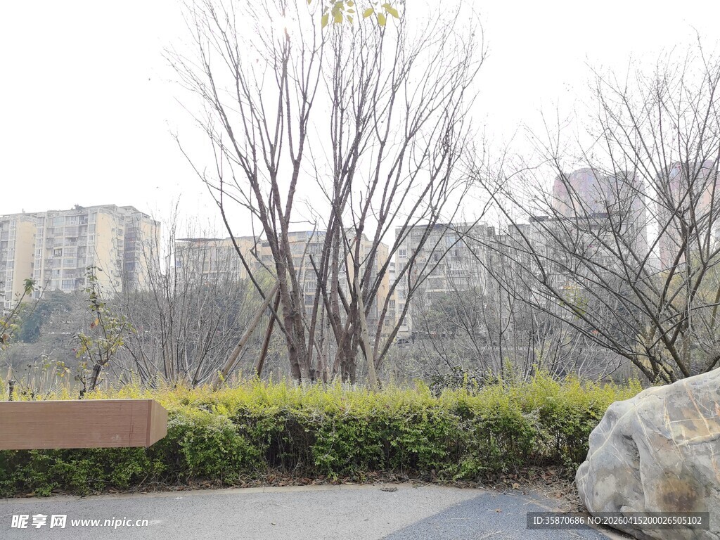 城市公园中的石景与绿植