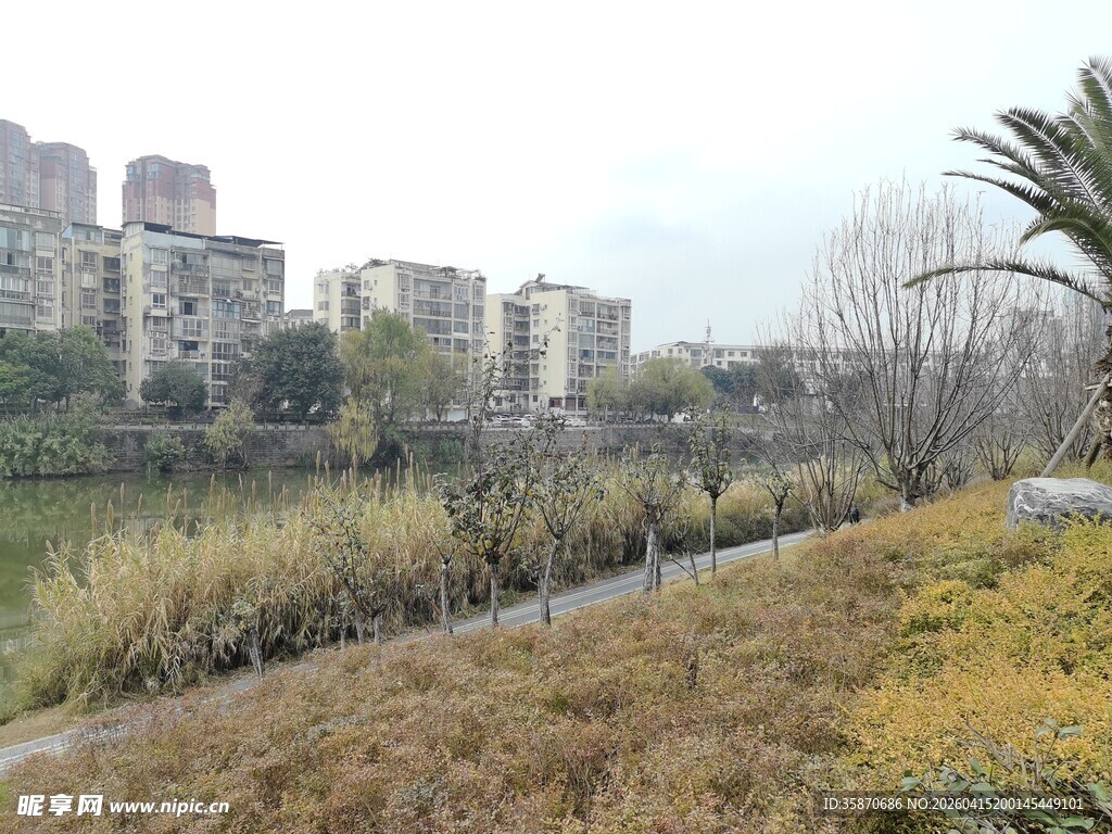 城市河畔自然景观