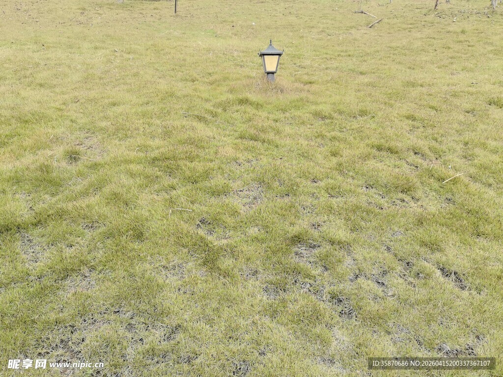 广袤草原上的孤独标志物