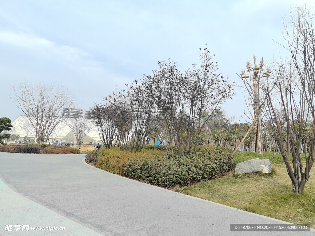 冬日公园小径景观