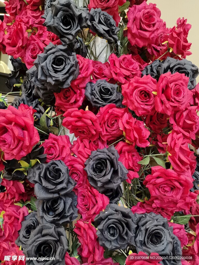 仿真红黑玫瑰簇拥的美丽景致