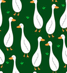 草地鸭 数码印花