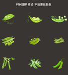 豌豆素材