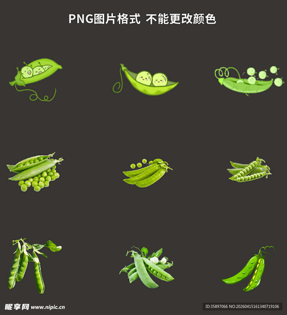 豌豆素材