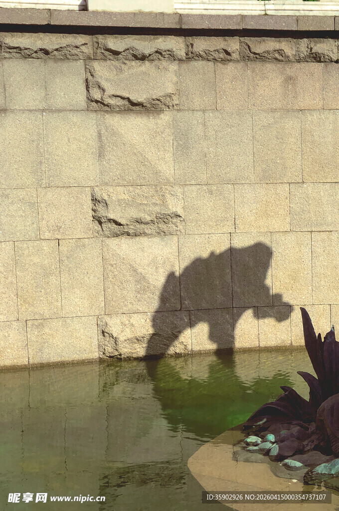 莫斯科墙上恐龙影子景观